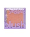 BLUSH COMPACT 01