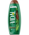 VIDAL GEL DOUCHE 500ML PINO ORIGINAL