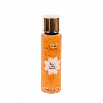 BRUME TRESOR EXOTIQUE 250 ML